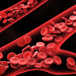 Favorisce la circolazione sanguigna